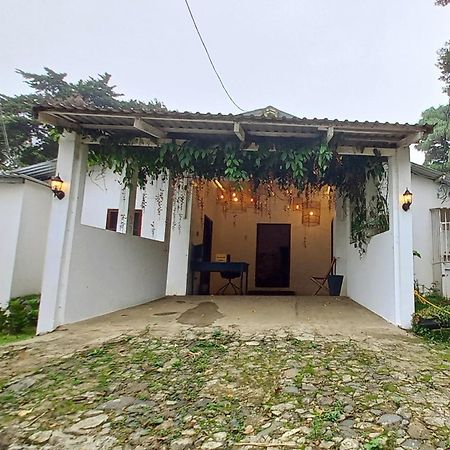Casa 1800 Los Naranjos Boutique Hotel エクステリア 写真