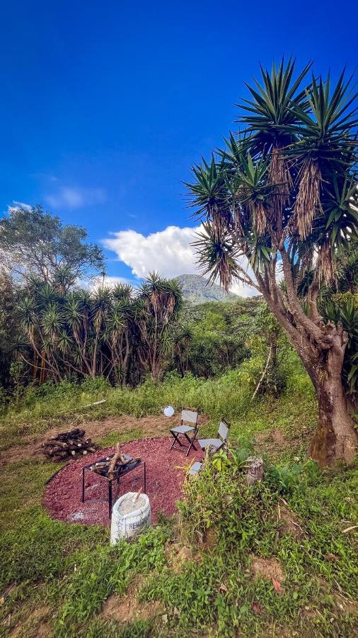 Casa 1800 Los Naranjos Boutique Hotel エクステリア 写真