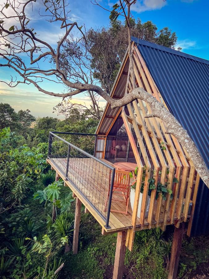 Casa 1800 Los Naranjos Boutique Hotel エクステリア 写真