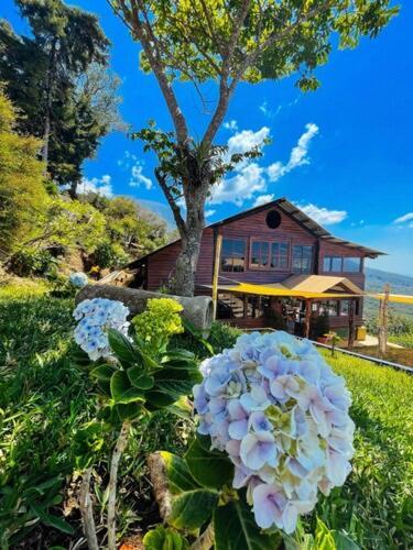 Casa 1800 Los Naranjos Boutique Hotel エクステリア 写真
