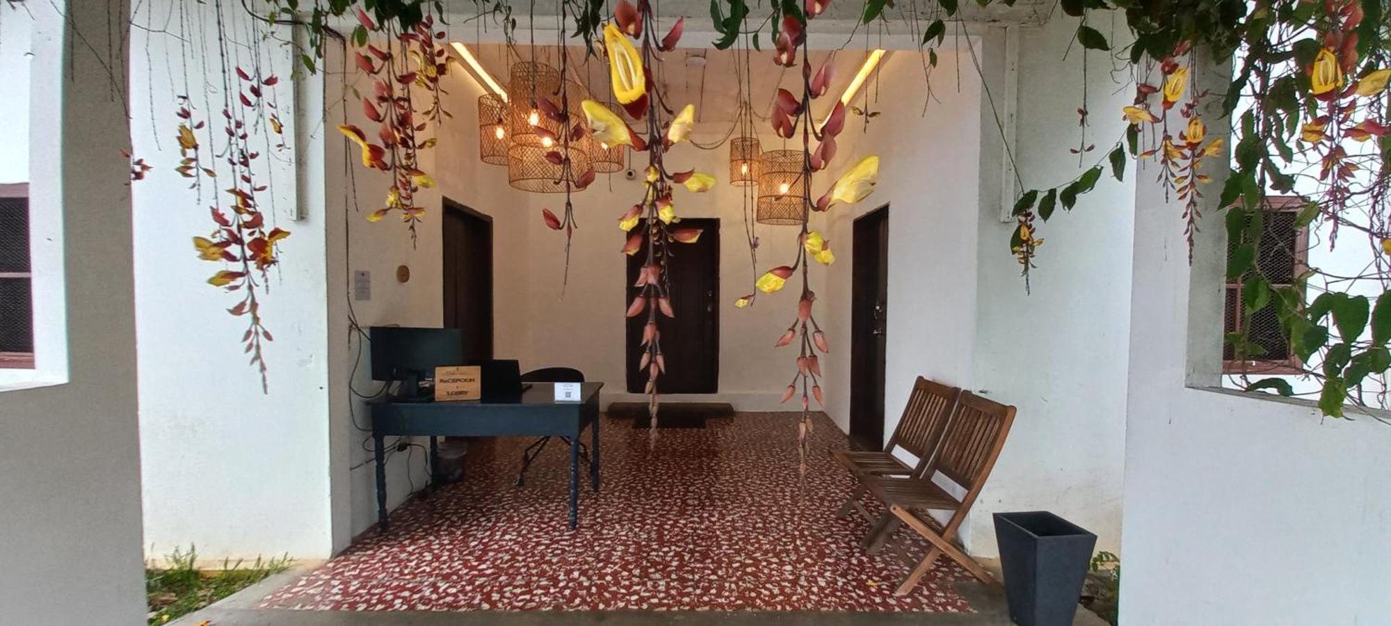Casa 1800 Los Naranjos Boutique Hotel エクステリア 写真